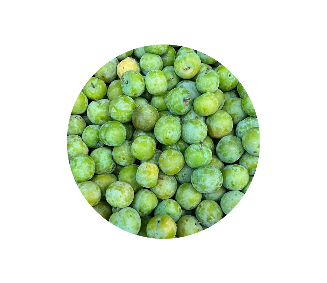 Reine Claude entière - 5kg