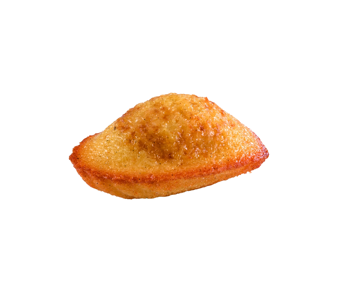 Madeleines à la vanille - 18g