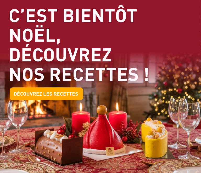 Recettes bûches de Noël