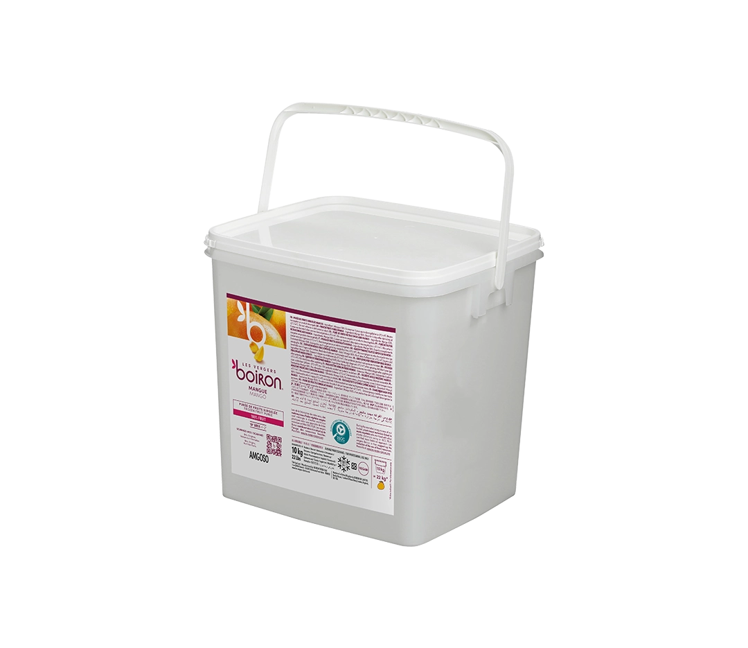 Purée de Mangue - 10kg