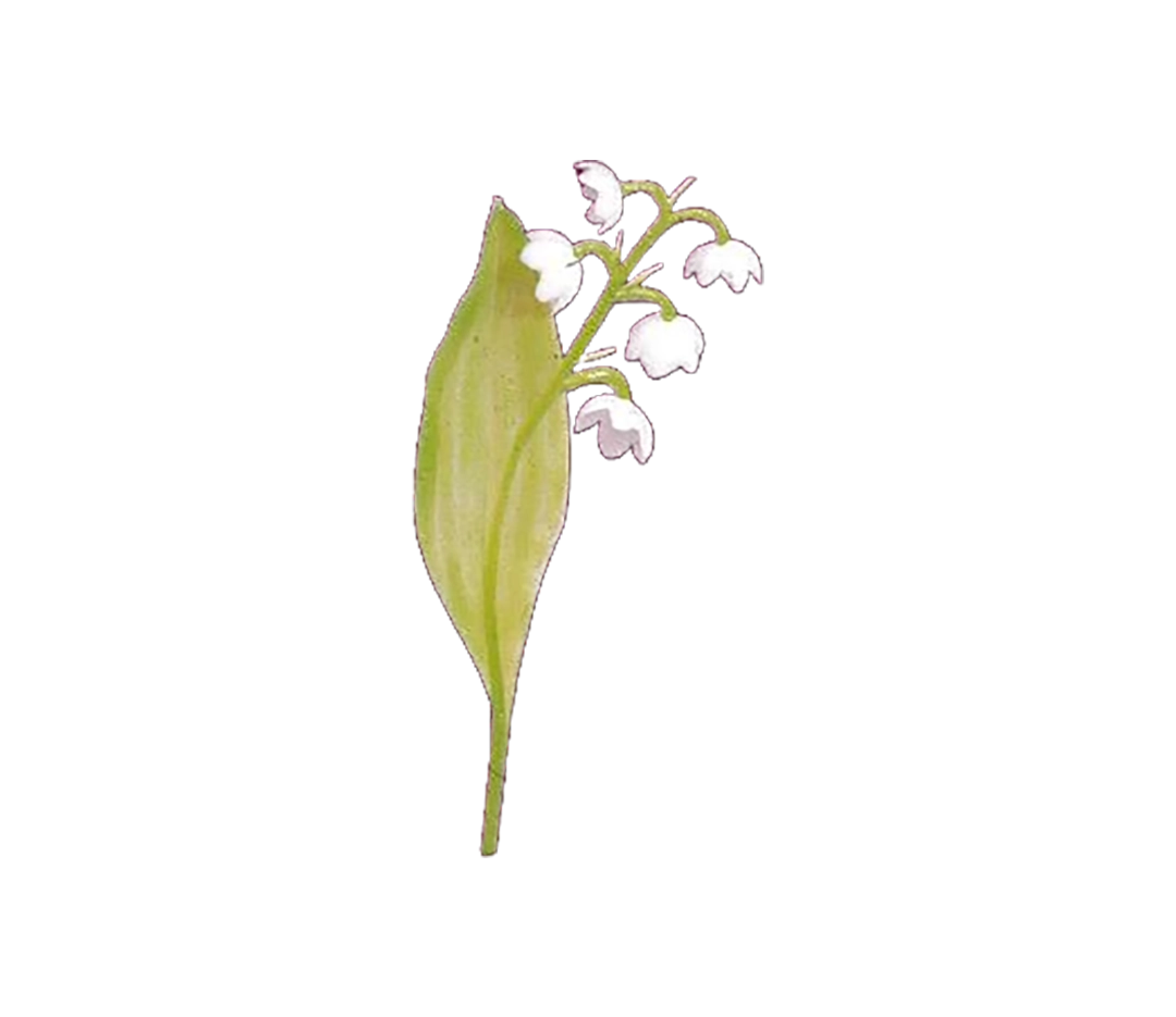 Brin de muguet x 100