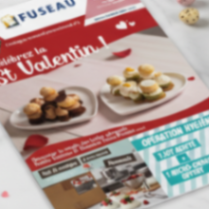 Catalogue mensuel de février 2026