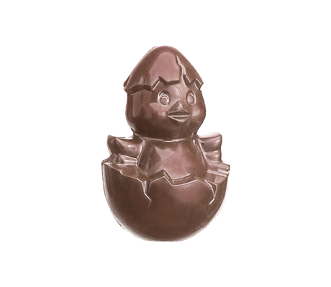 Moule chocolat - poussin coquille