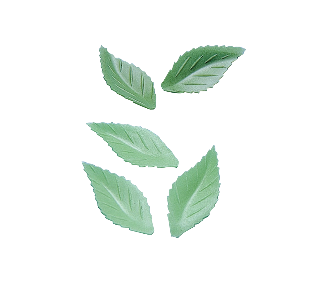 Feuilles Azyme vert clair - Lot de 500 unités