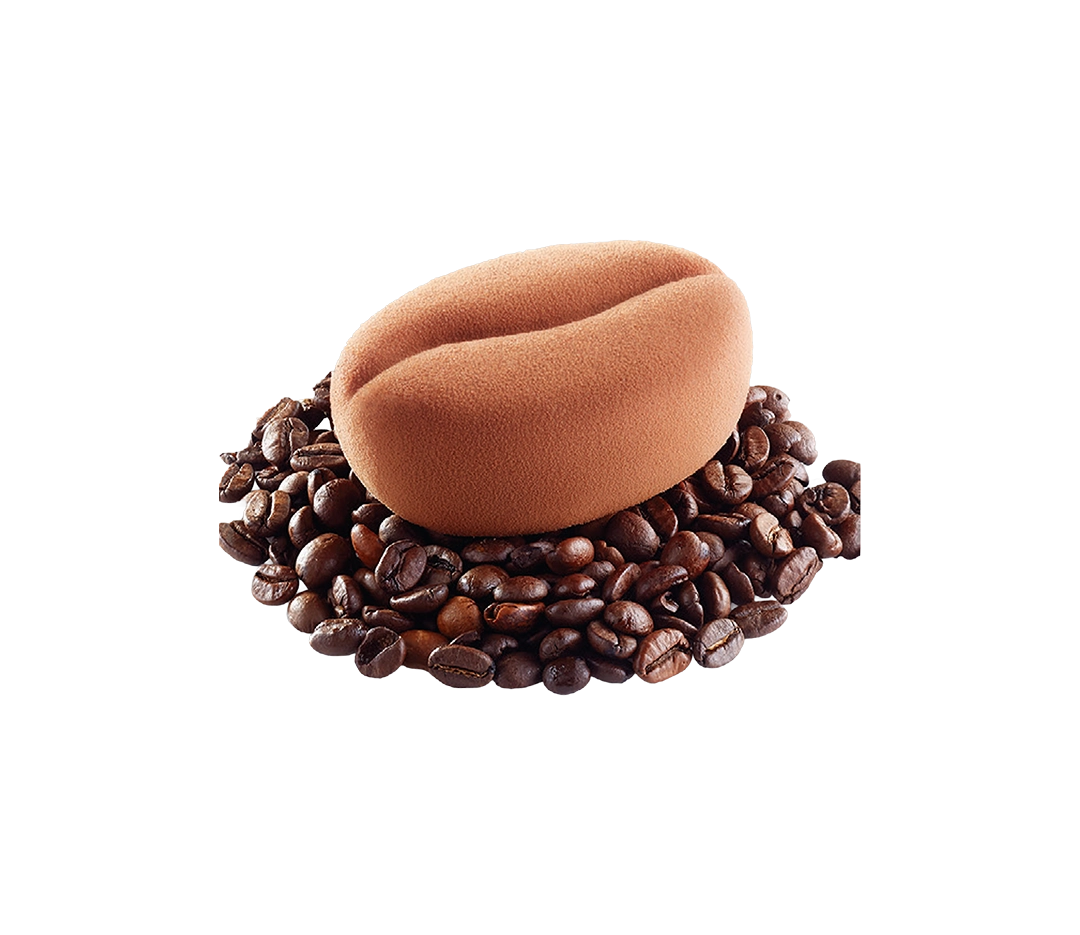 Moule 12 Grains de café