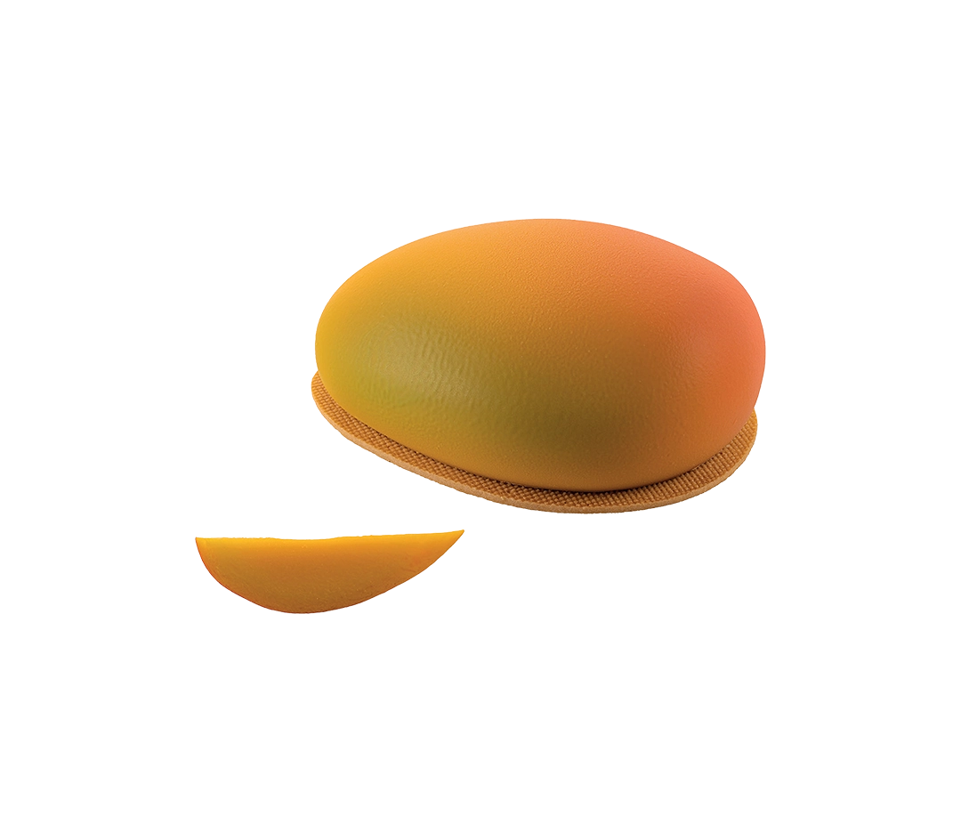 Moule Silicone Mangue XL