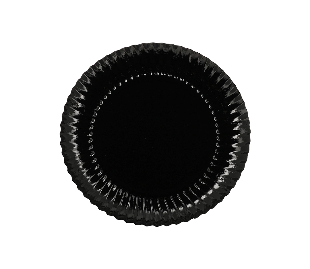 Assiettes carton noires 24 cm - lot de 25