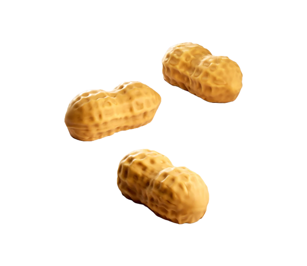 Moule silicone trompe l'œil cacahuète | Pavoni - X 12