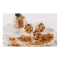Spéculoos brisure carton 0-6 mm | Couplet Sugars - 8 kg