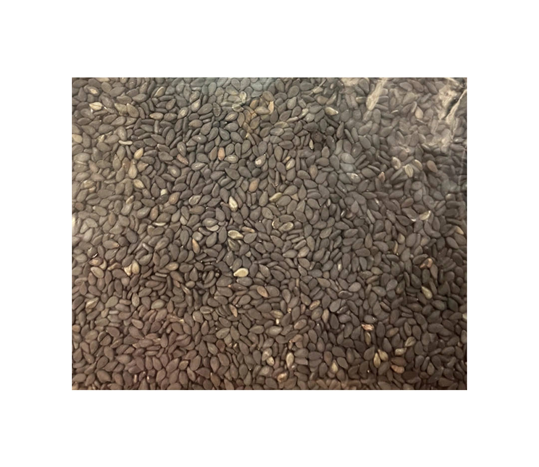 Graines de sésame noire Inde - 25 kg