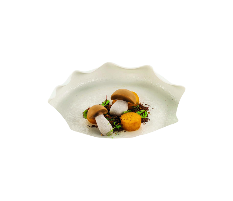 Moule champignons 16 empruntes