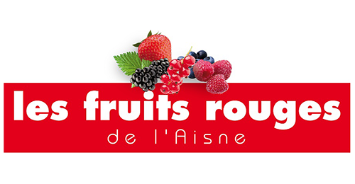 FRUITS ROUGES DE L'AISNE SURGELE
