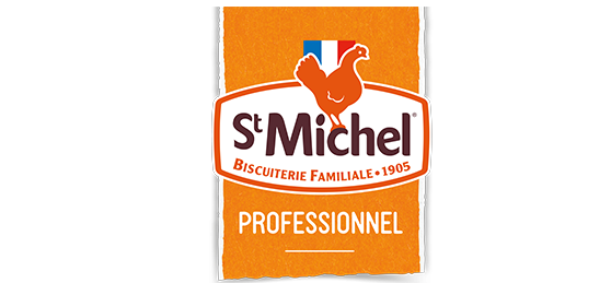 SAINT MICHEL PROFESSIONNEL