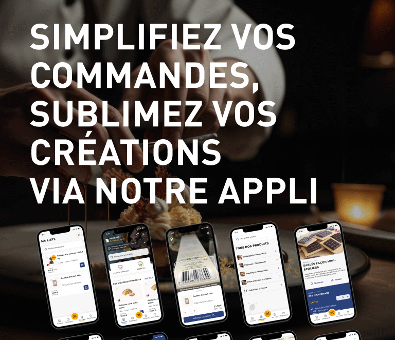 Application Mobile