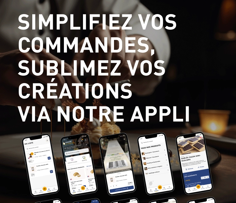 Application Mobile