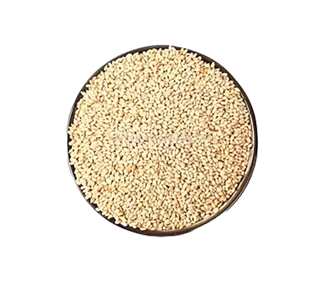 Graine de sésame blanche - 25kg
