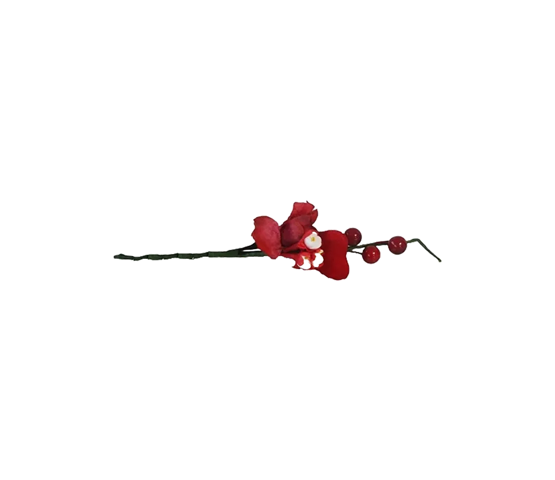 Piquet anémone coeur