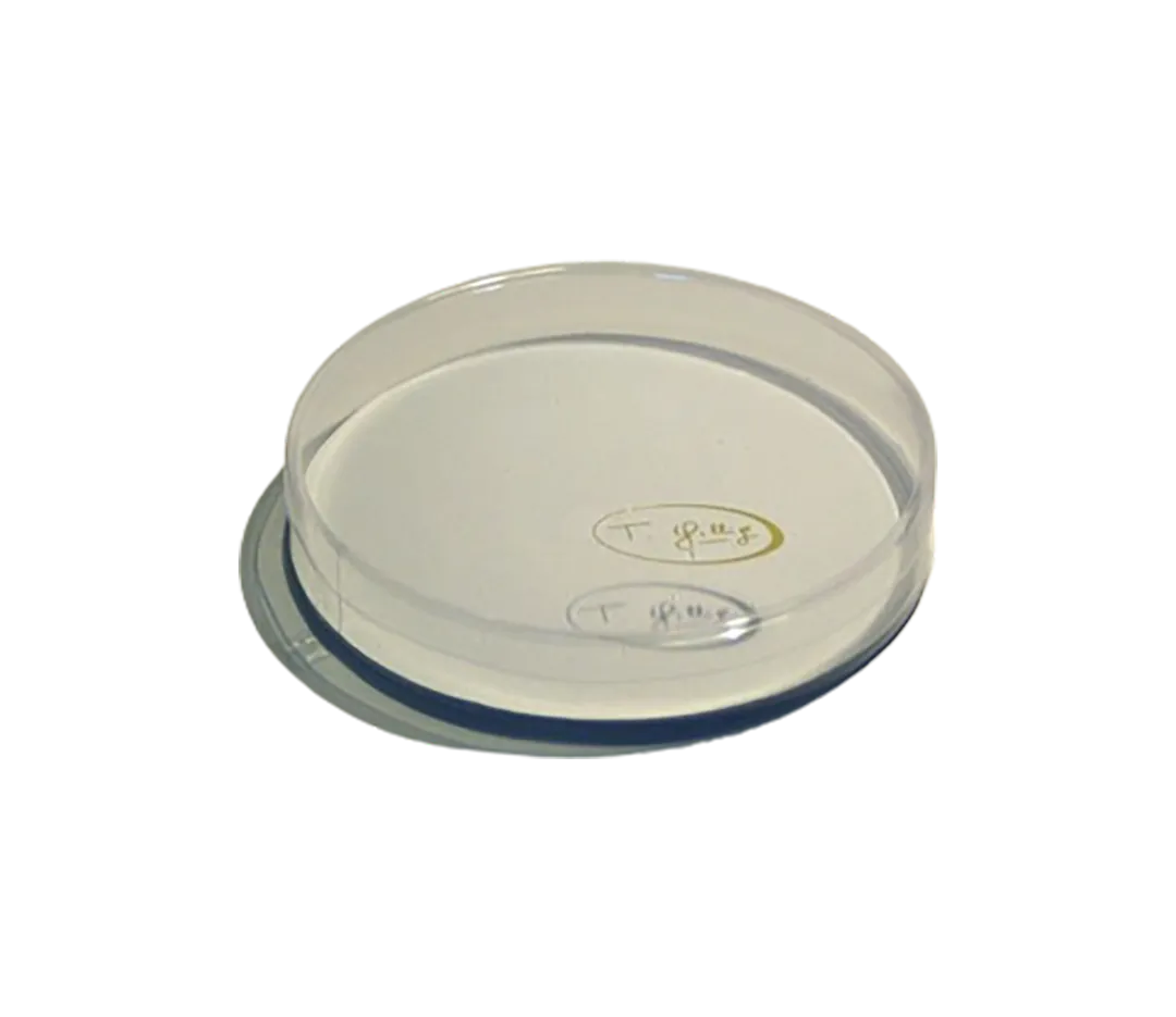 Boîte ronde transparente - x1