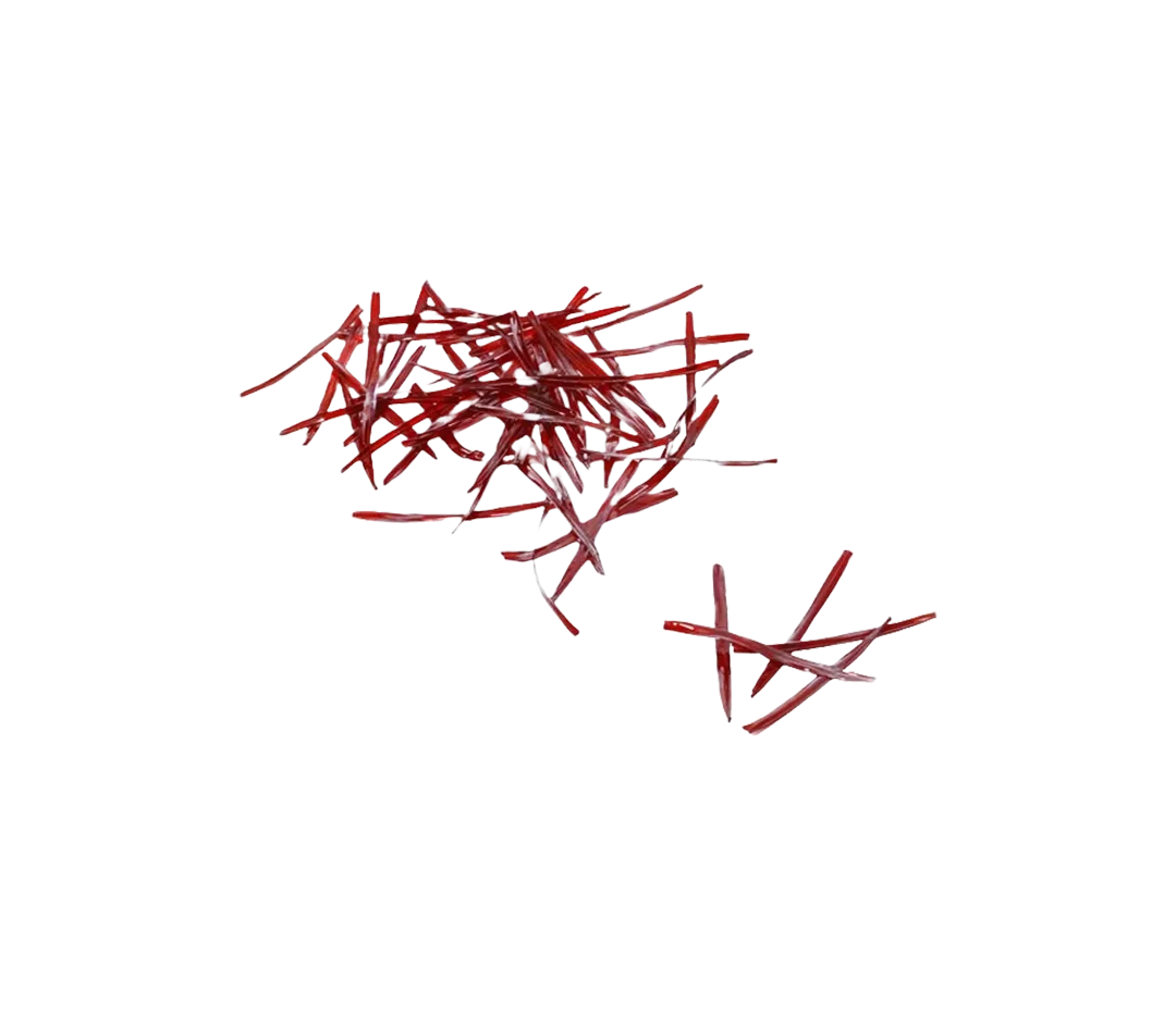 Liens cellofibre - x2000