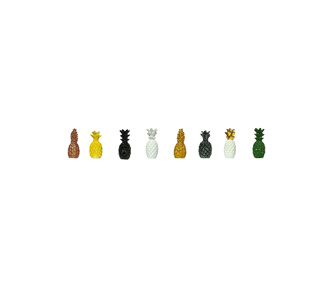 SANTONS KIT "ANANAS"