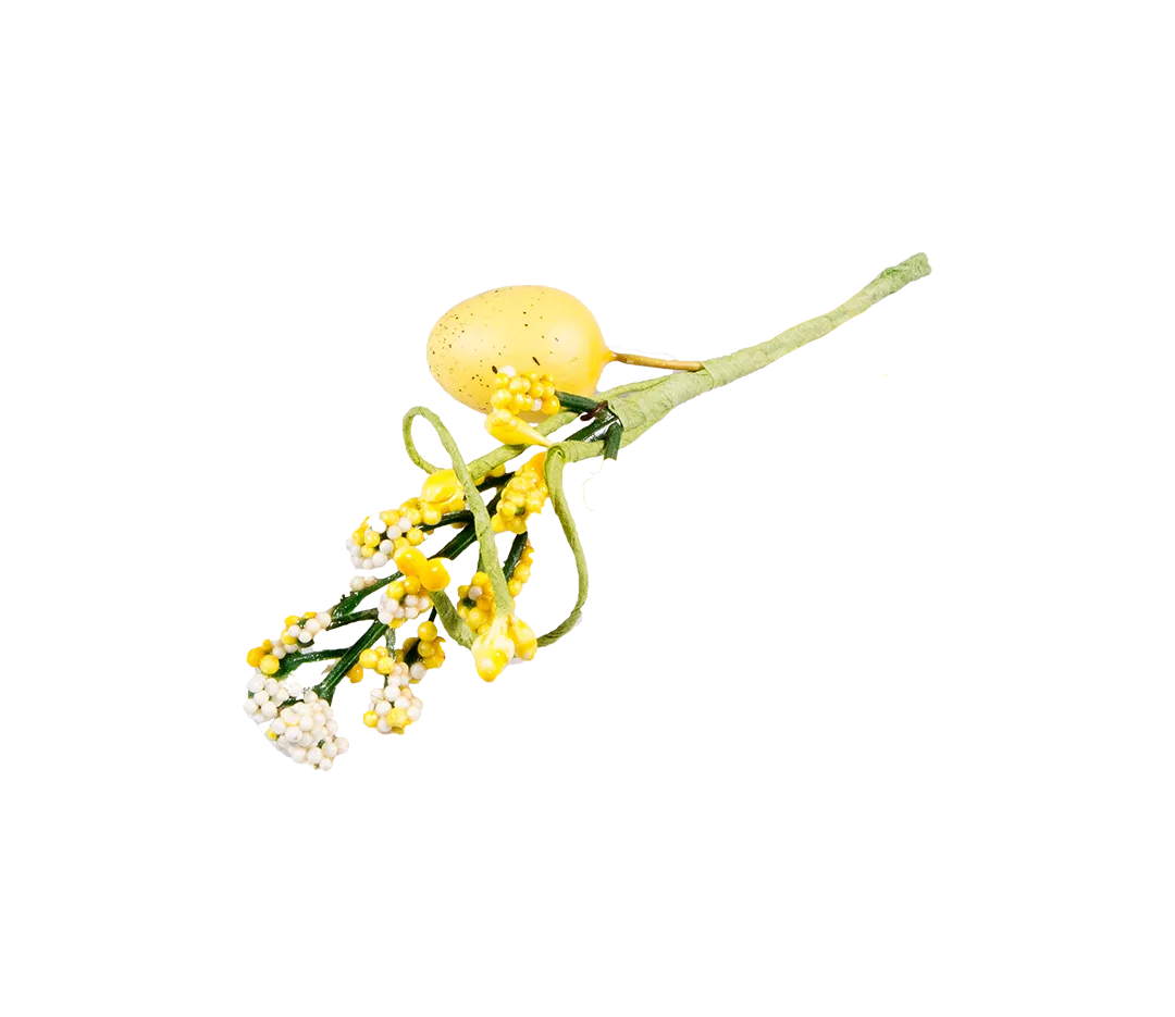 Piquet jaune oeuf