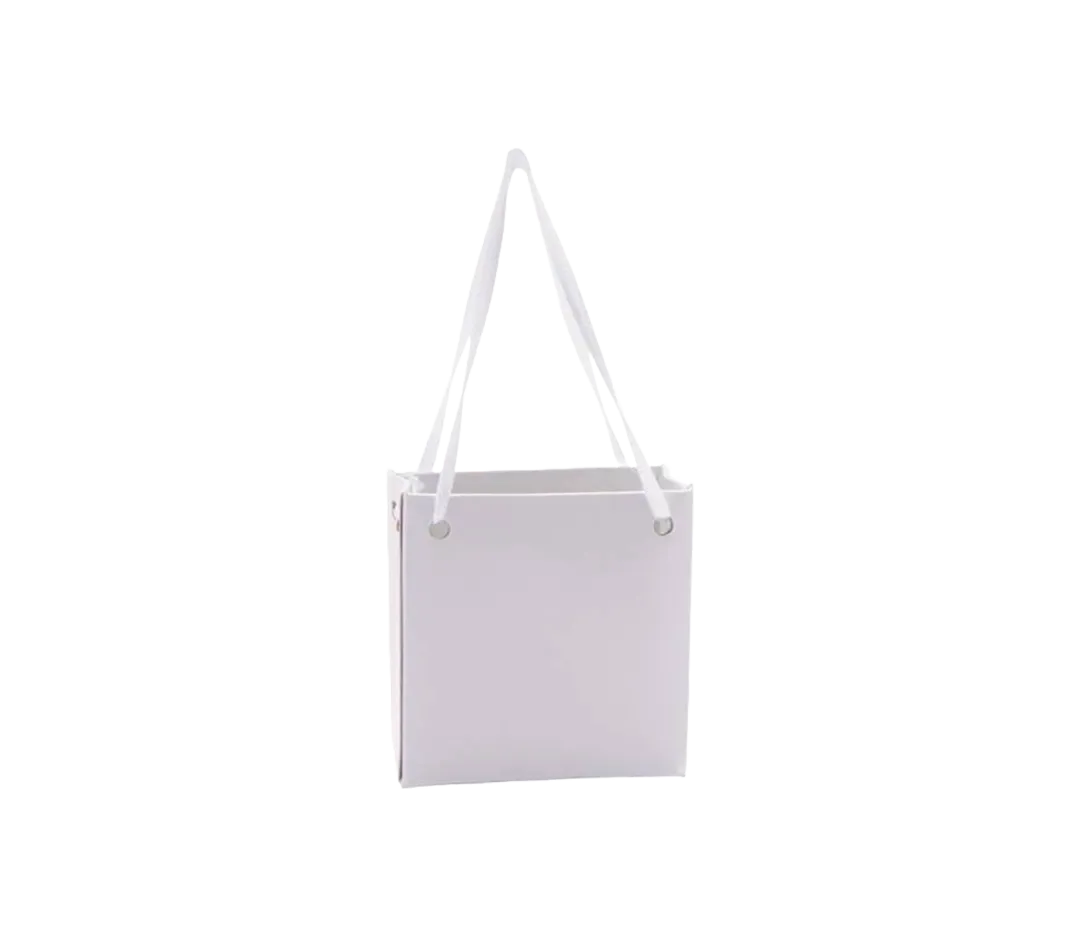 Mini sac blanc verni