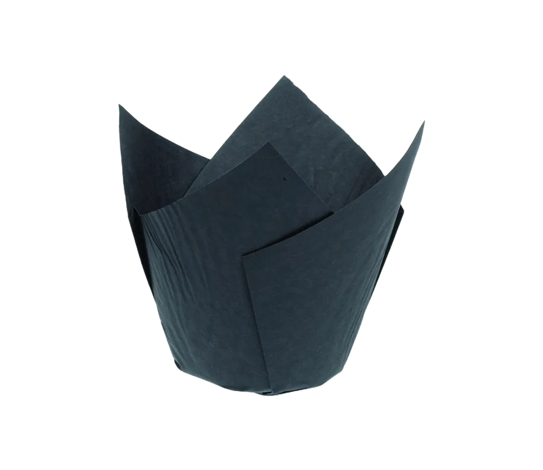 Caissette Tulipcup noire - x200