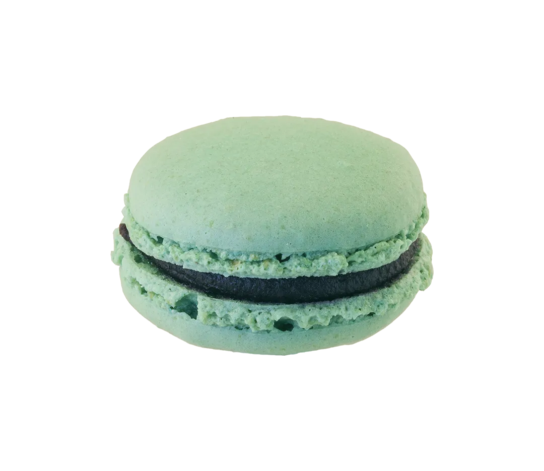 MACARONS MYRTILLE 4.5CM BTE 32