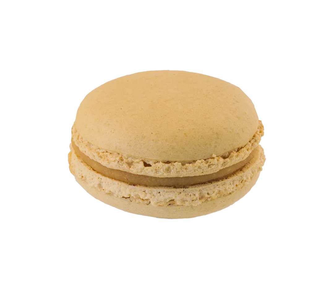 MACARONS CARAMEL F.SEL4.5CM BTE 32