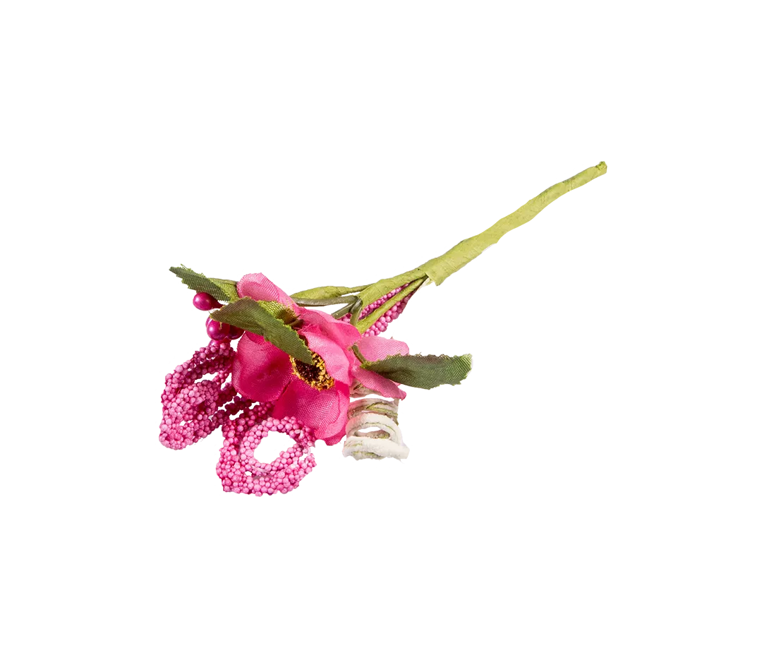 Piquet anémone fuchsia