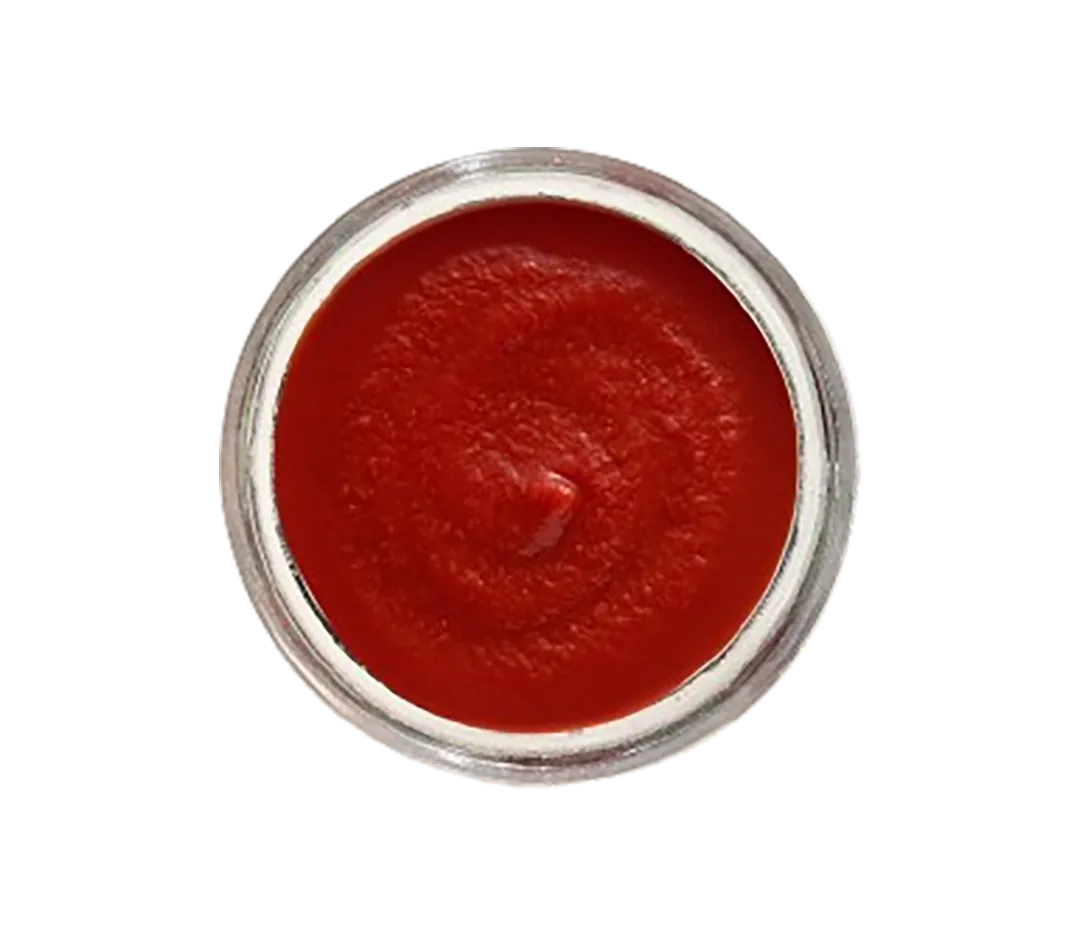 Coulis de tomates bio - 5/1