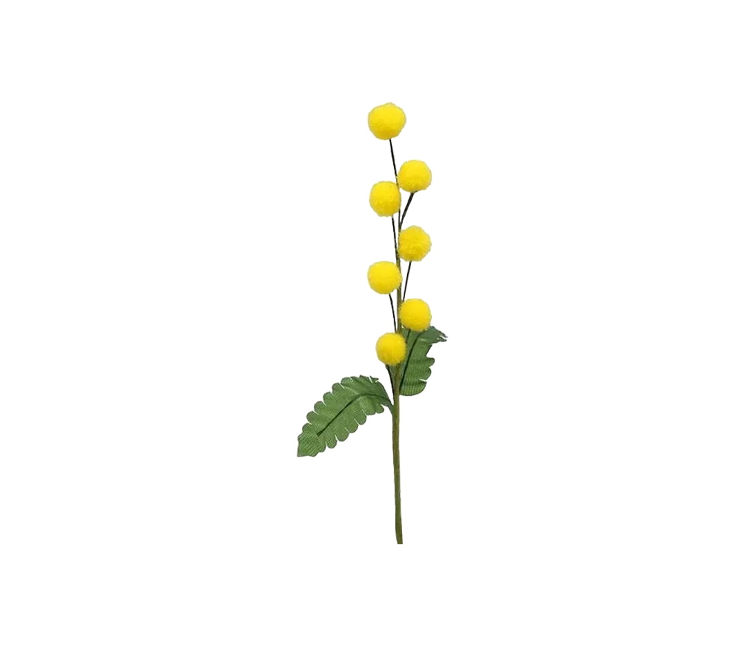 Piquet mimosa jaune