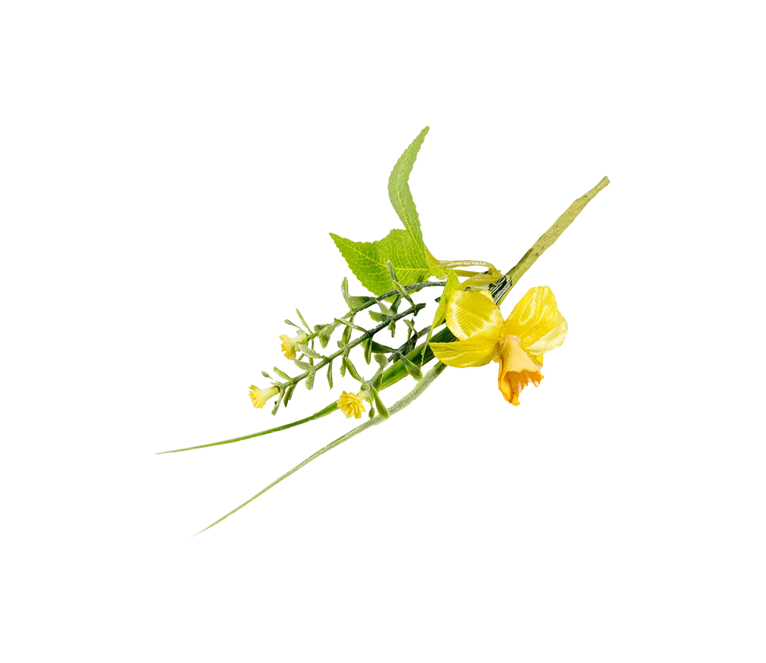 Piquet jonquille jaune