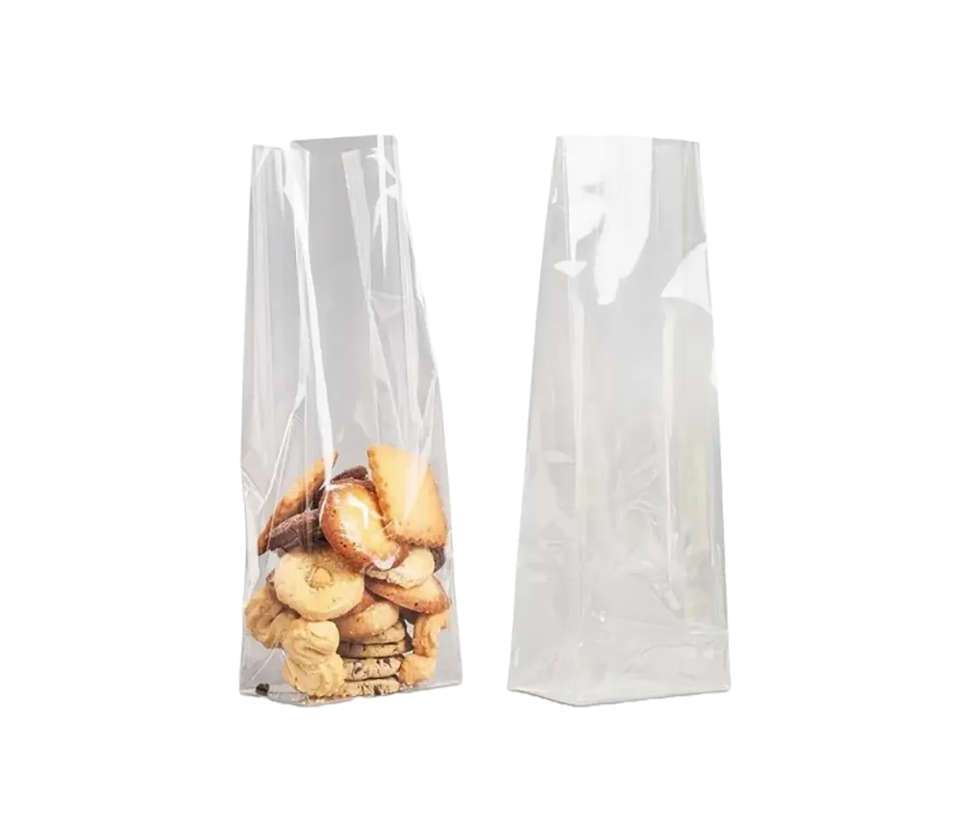 Sachet polypro x100