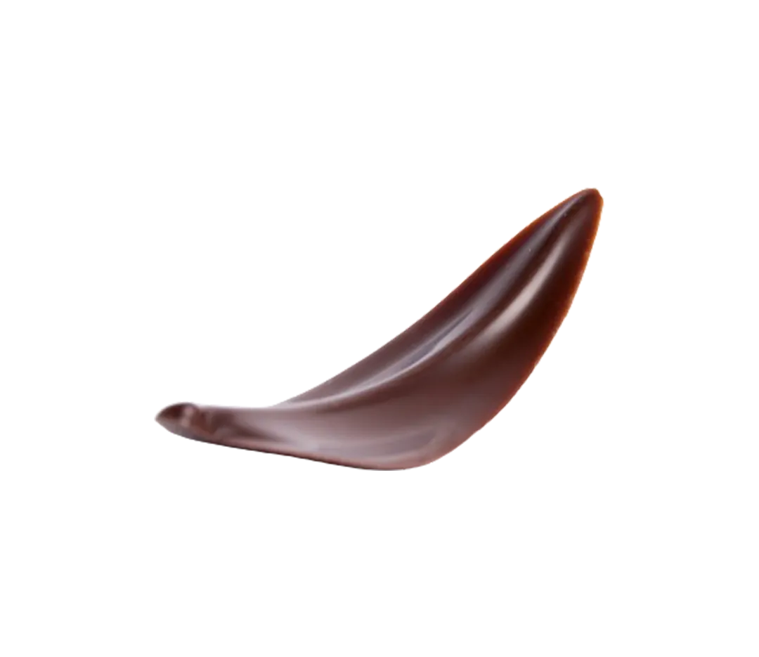 Feuille en chocolat noir x 128