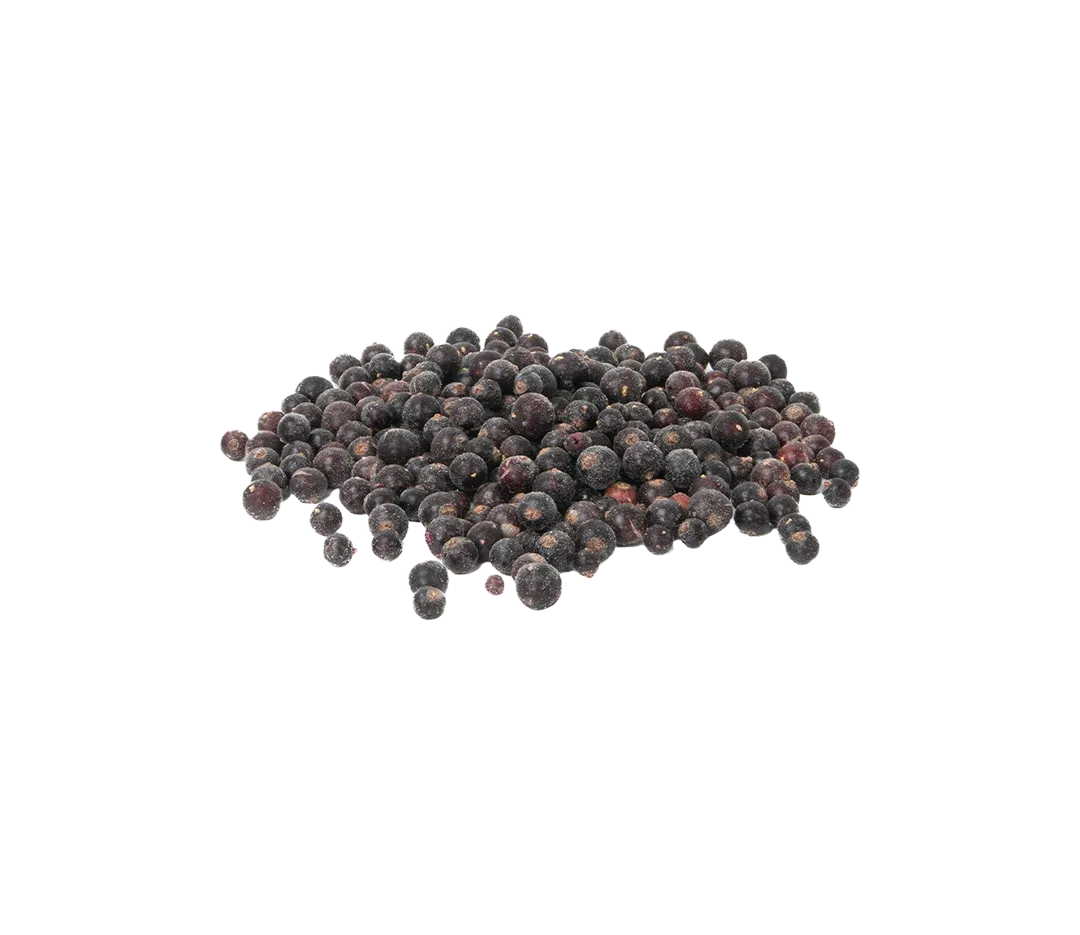 Cassis égrappé surgelé - 10kg