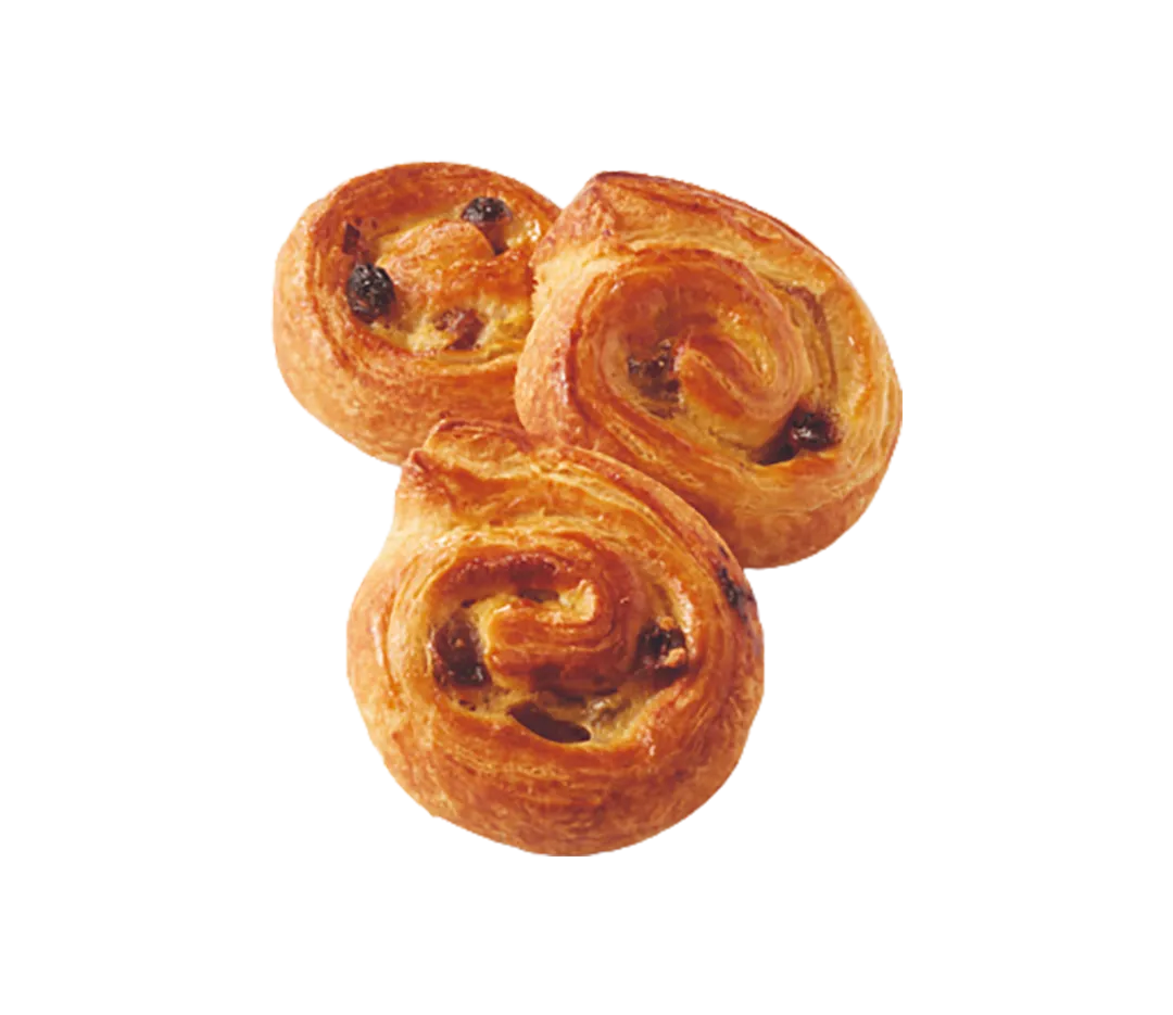 PAIN RAISIN MINI 30G CRU CT200