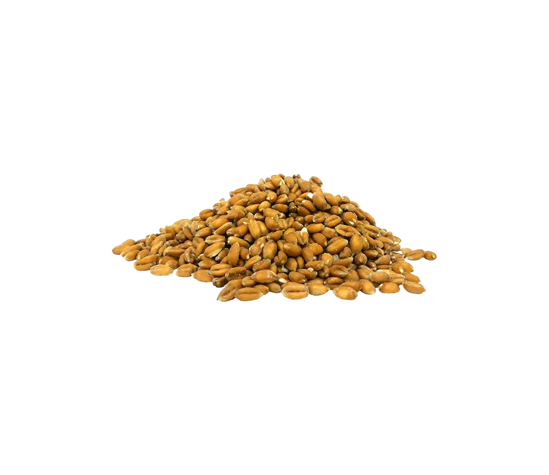 Petit épeautre surgelé - 1kg