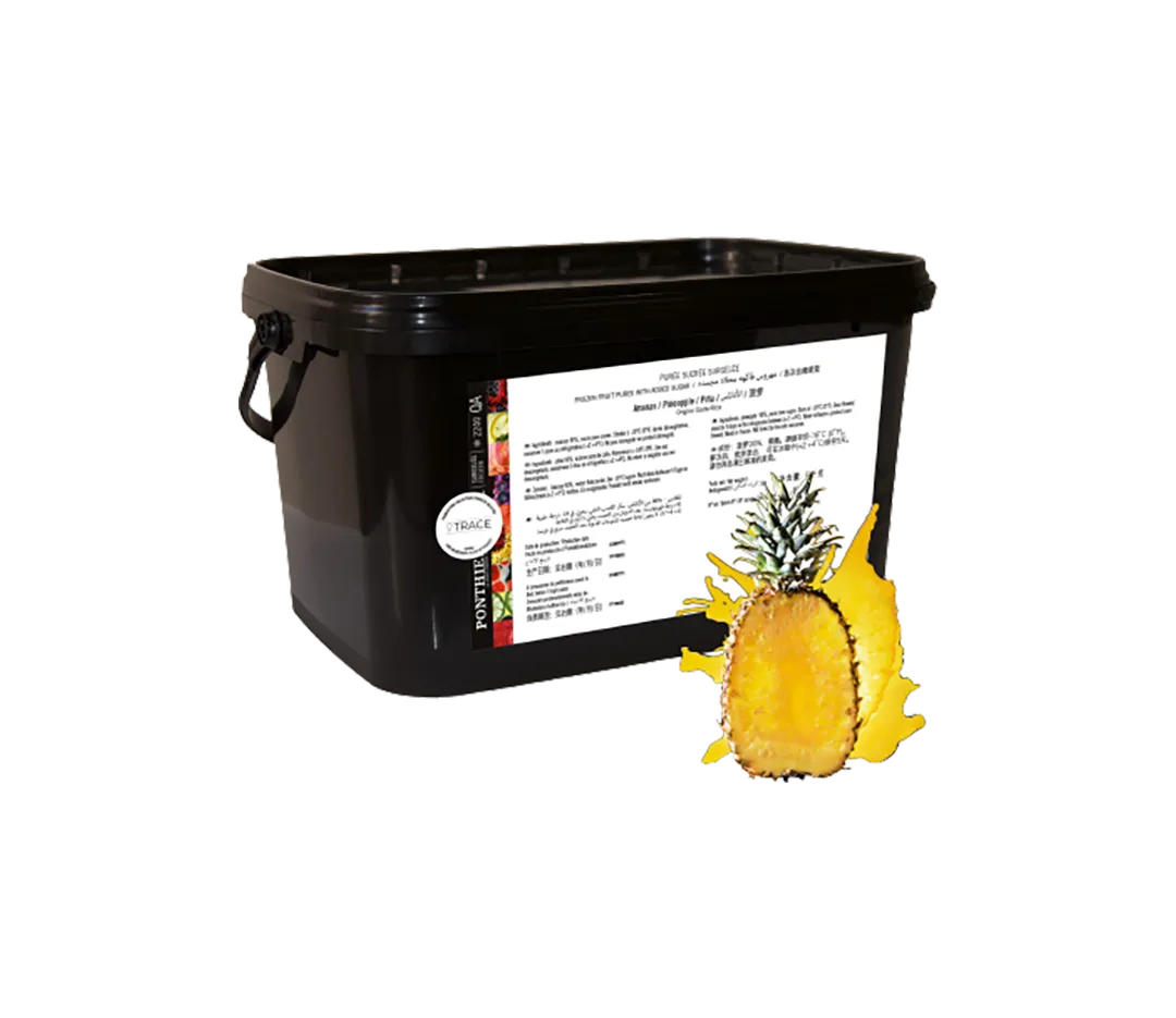 Purée de Fruits Surgelée Ananas