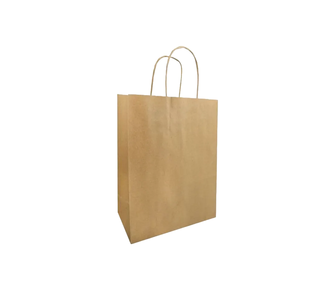 10 Sacs cabas kraft