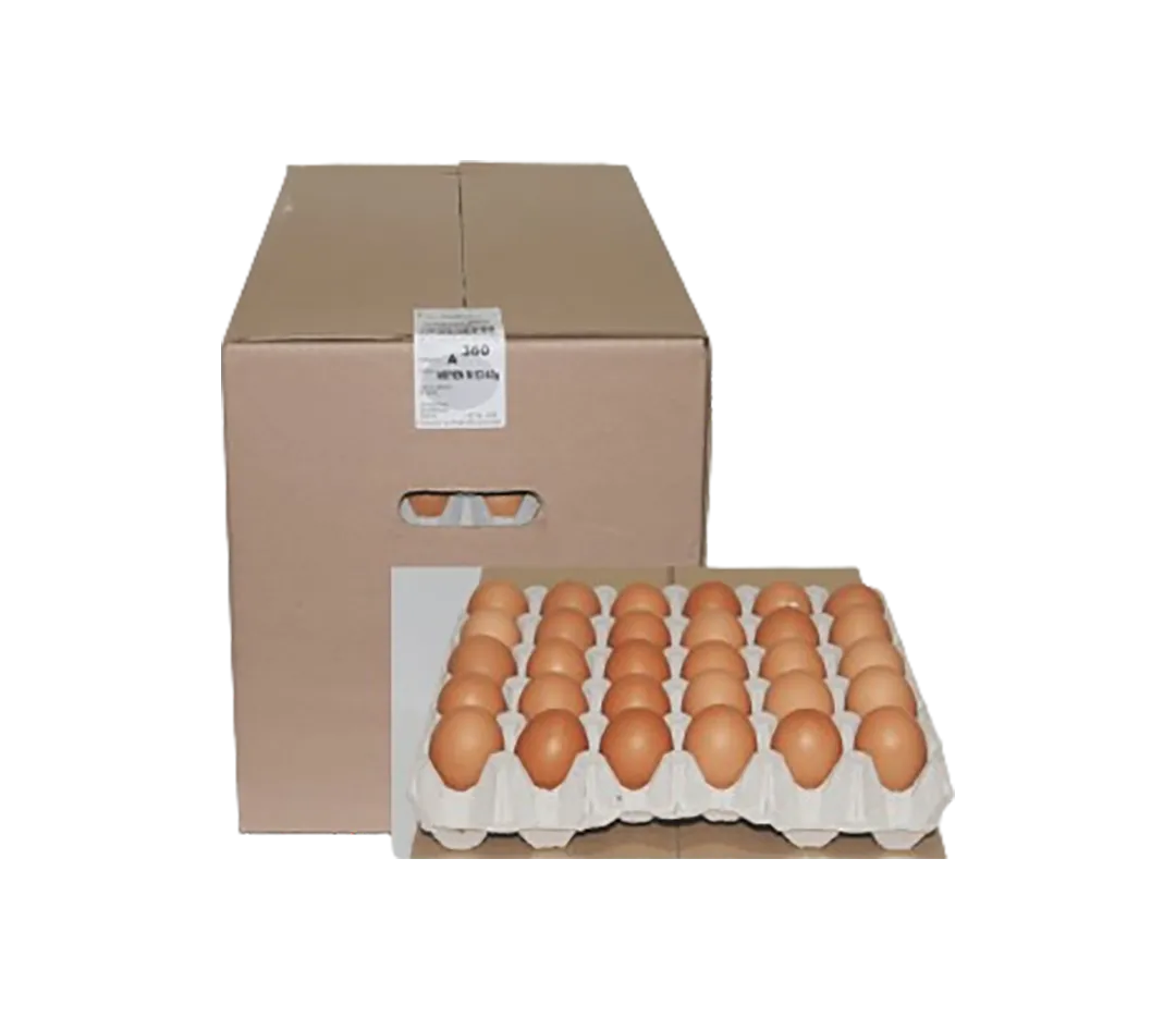 OEUFS MOYEN BIO 53-63GRS CAISSE 360