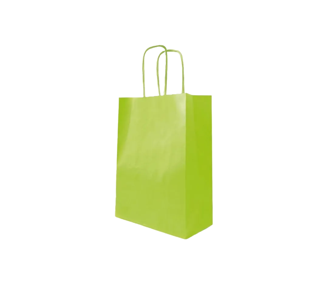 10 sacs cabas vert anis