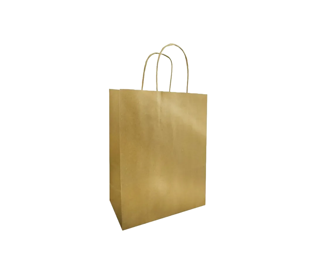 10 sacs cabas or