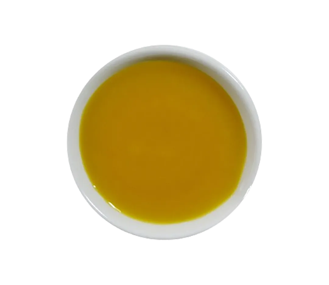 Purée de fruits exotiques surgelée 1kg
