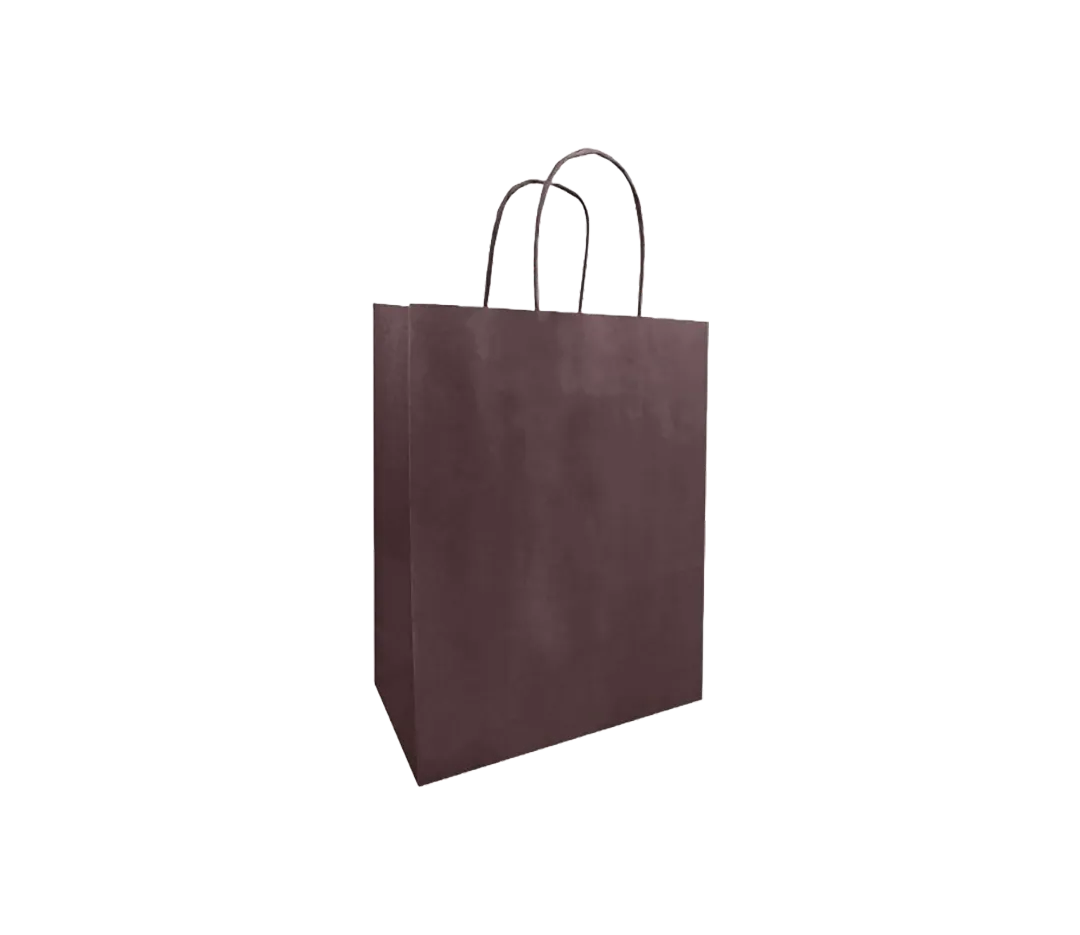 10 sacs cabas chocolat