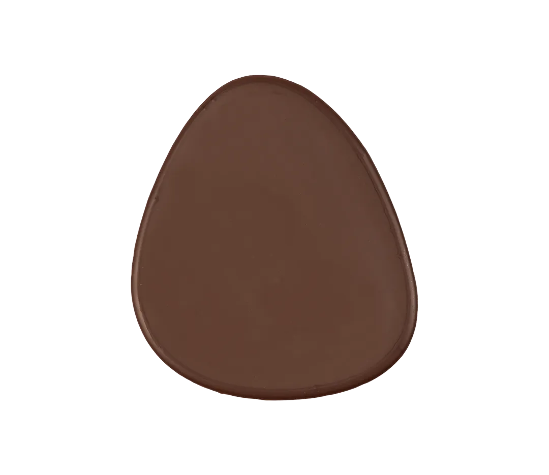 Embout de mini bûche en chocolat noir x104