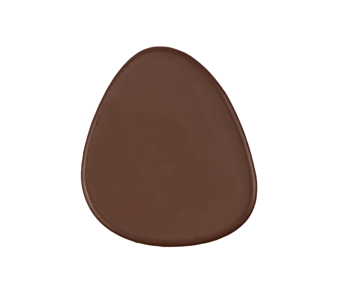 Embout de bûche chocolat noir x52