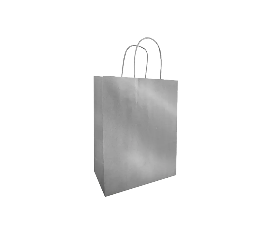 10 Sacs cabas argent
