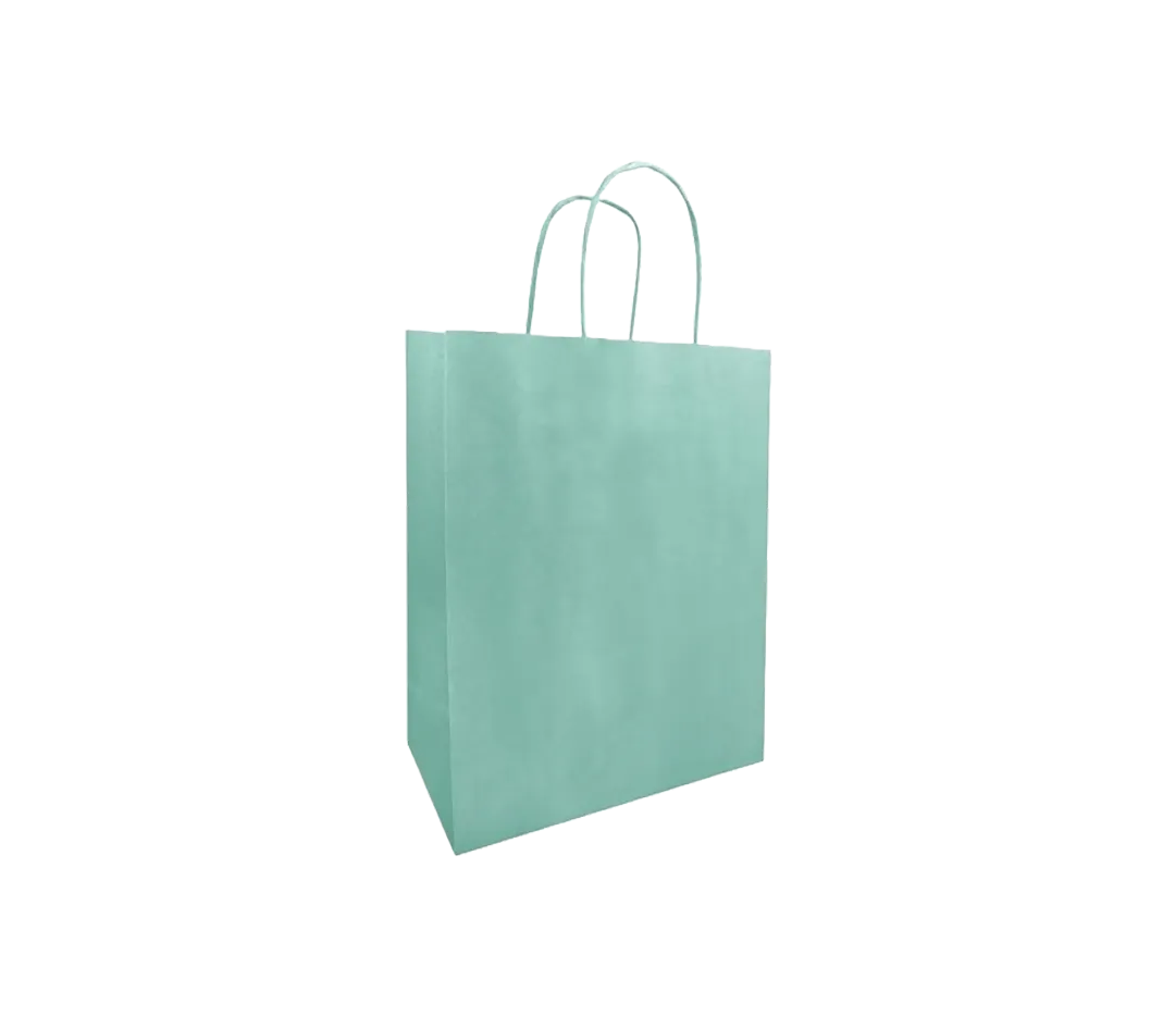 10 sacs cabas vert d'eau