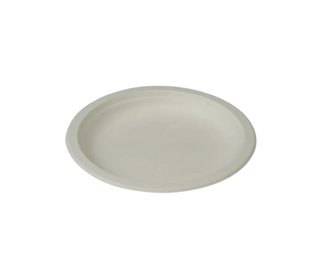 ASSIETTE CANNE A SUCRE 23CMS  P/12.